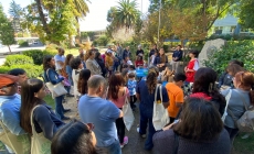 taller-mas-que-un-arbol