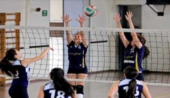 voleibol